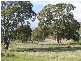Lt 1 Rams Road, Rockleigh SA 5254