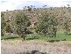 Lt 1 Rams Road, Rockleigh SA 5254