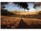 Lt 12 Nicol Road, Meadows SA 5201