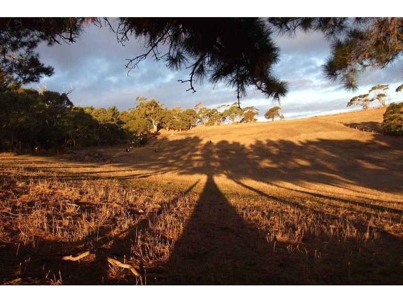 Lt 12 Nicol Road, Meadows SA 5201