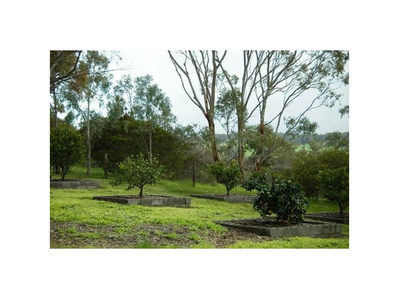 . Off of Hillview Road, Macclesfield SA 5153