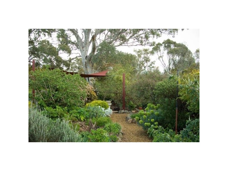 . Off of Hillview Road, Macclesfield SA 5153