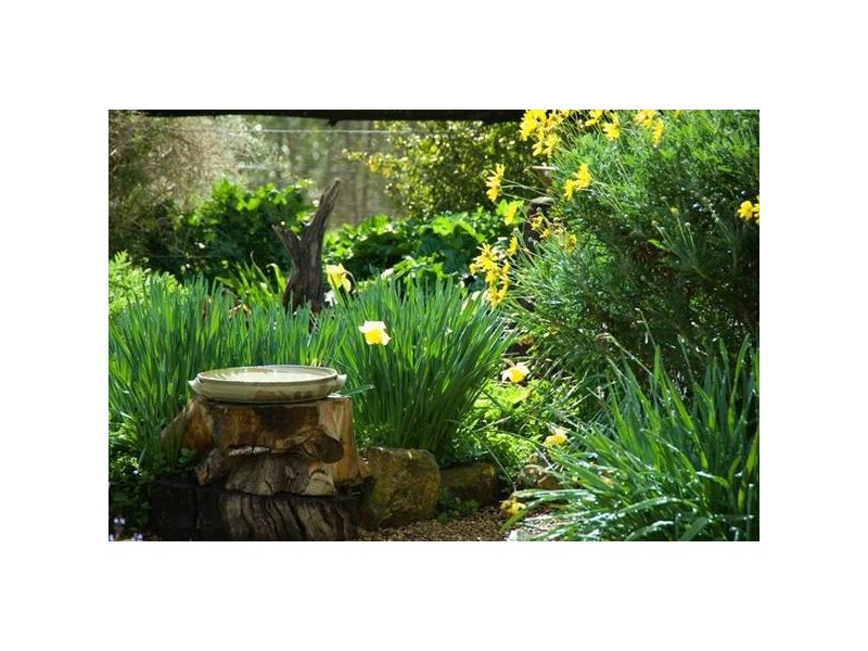 . Off Hillview Road, Macclesfield SA 5153