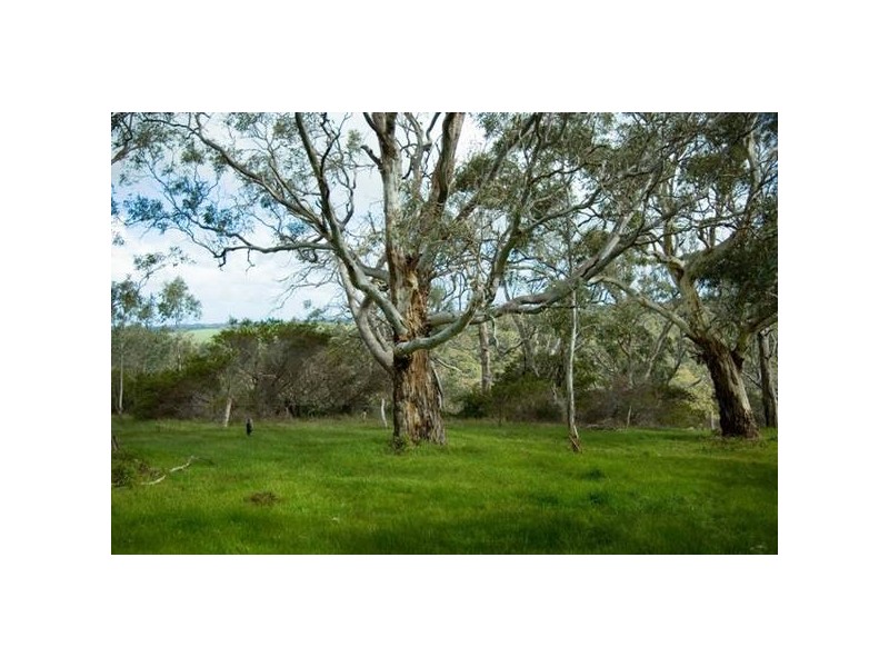 . Off Hillview Road, Macclesfield SA 5153