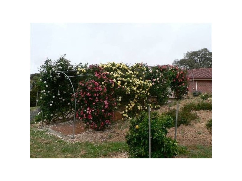 Lot 282 Hanny Crescent, Nairne SA 5252