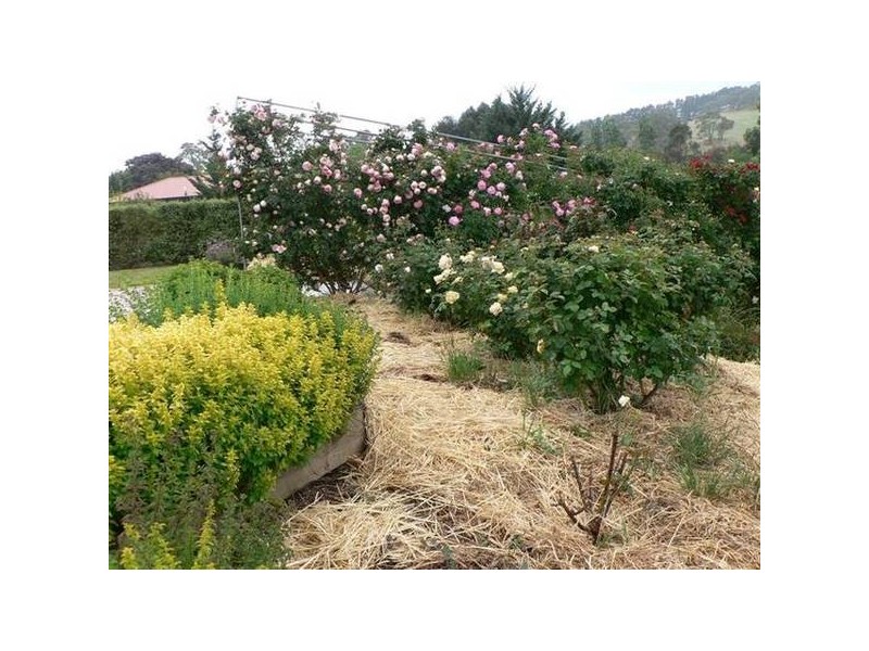 Lot 282 Hanny Crescent, Nairne SA 5252