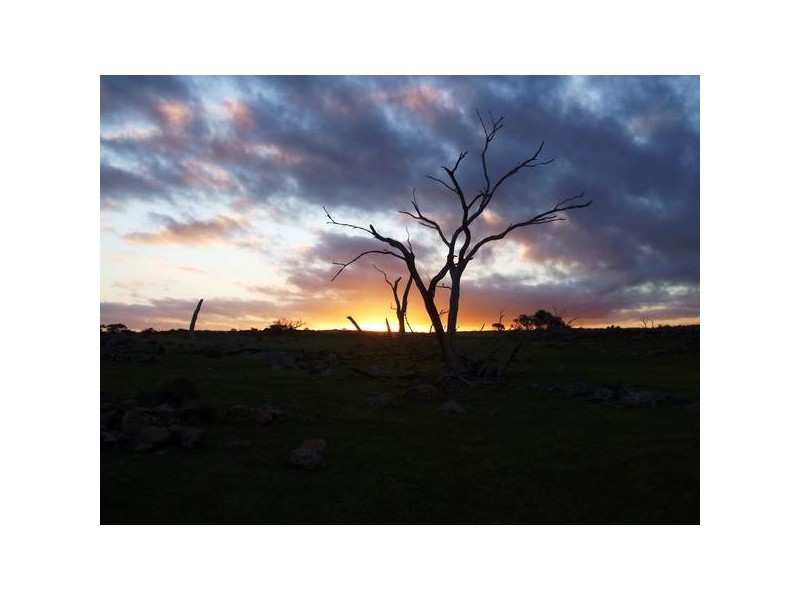 . Oak Grove & Law Road, Rockleigh SA 5254