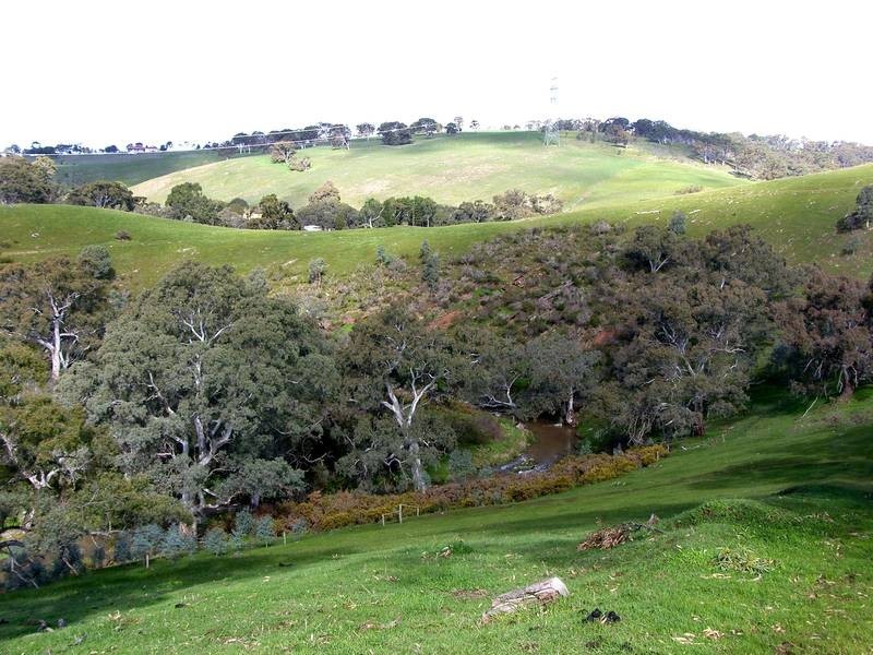 Lot 21 Blight Road, Mount Barker SA 5251