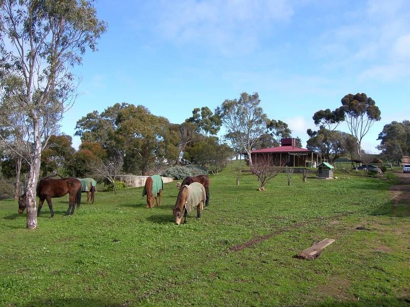 Lot 21 Blight Road, Mount Barker SA 5251