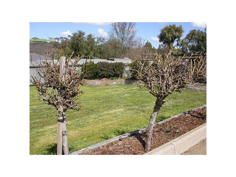 6 Jenner Street, Nairne SA 5252