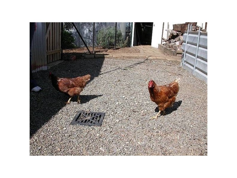 6 Jenner Street, Nairne SA 5252