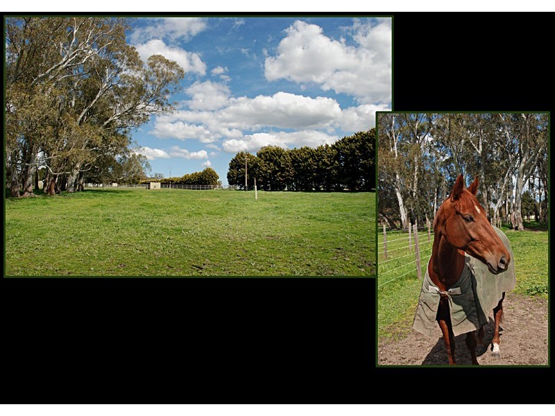 . River View Road, Woodside SA 5244