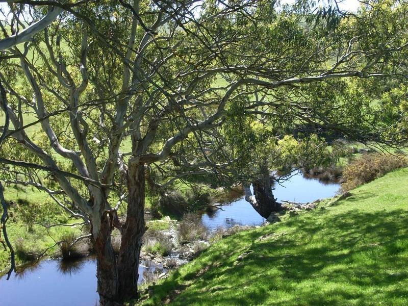 Lot 4 Tungkillo Road, Harrogate SA 5244