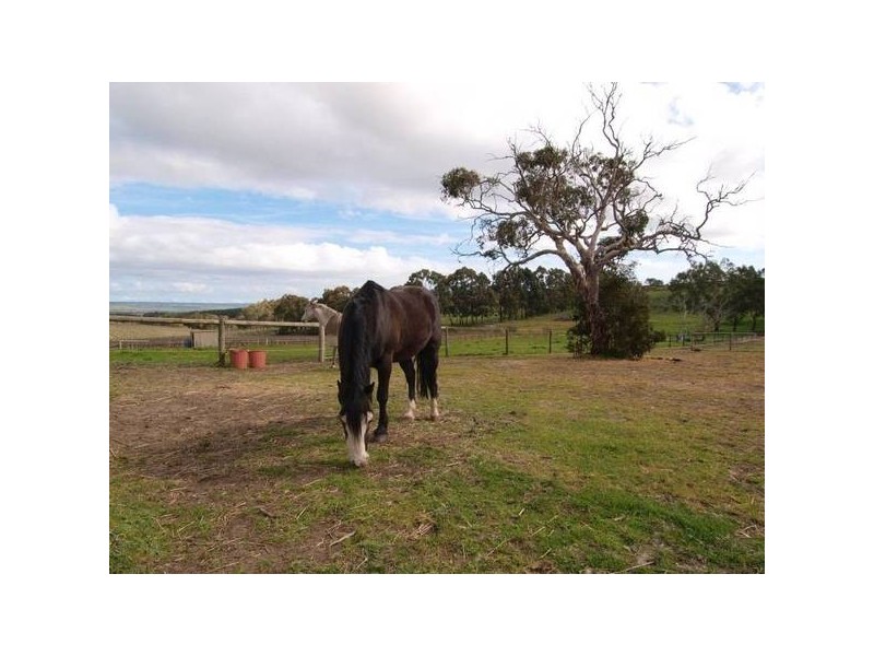 465 Adams Road, Blewitt Springs SA 5171