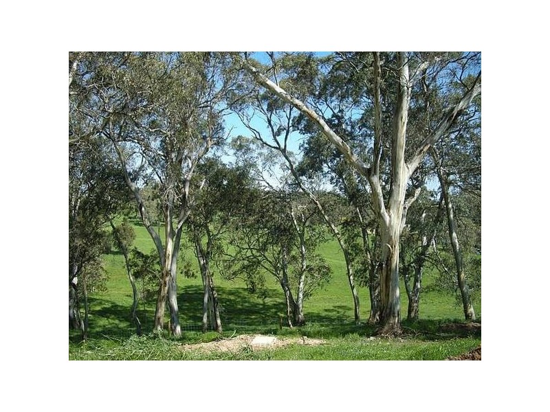 17 Hillman Drive, Nairne SA 5252