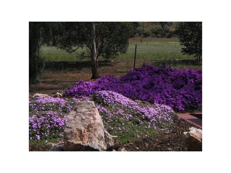 Lot 984 Young Road, Kanmantoo SA 5252