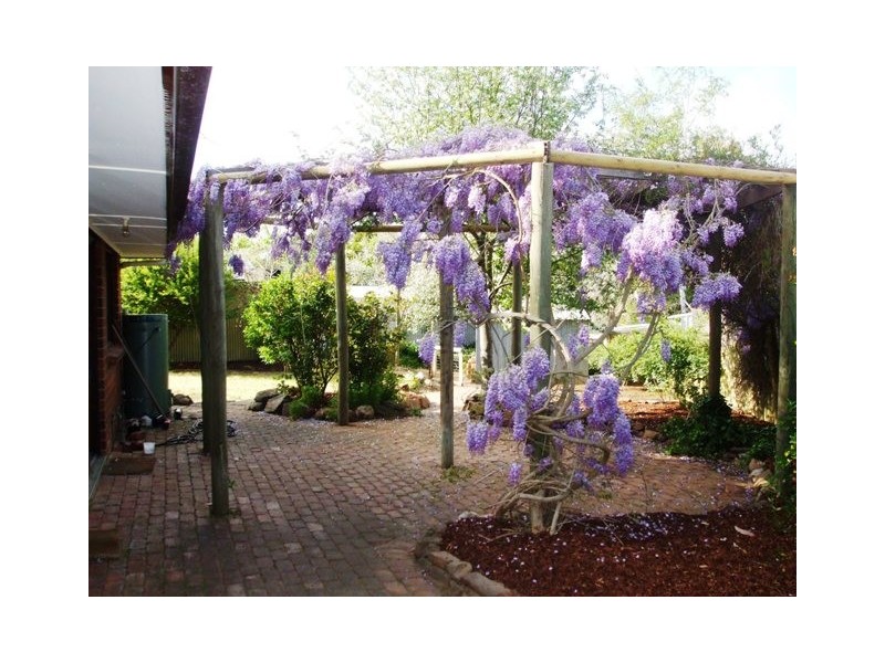 6 Lewis Avenue, Mount Barker SA 5251