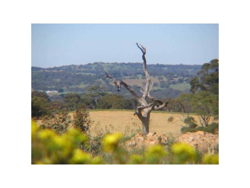 36 Market Place, Nairne SA 5252