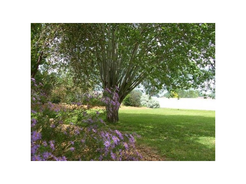 10 Balhannah Road, Hahndorf SA 5245