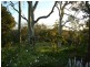47 Charlick Road, Crafers West SA 5152