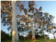47 Charlick Road, Crafers West SA 5152