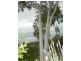16 Bremer Street, Dawesley SA 5252