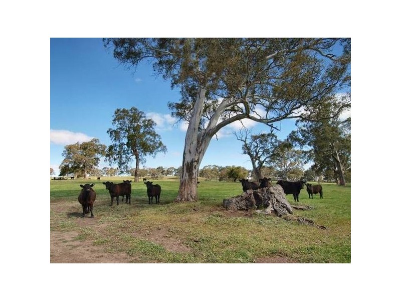 Sec 3961 Sandy Waterhole Road, Woodside SA 5244