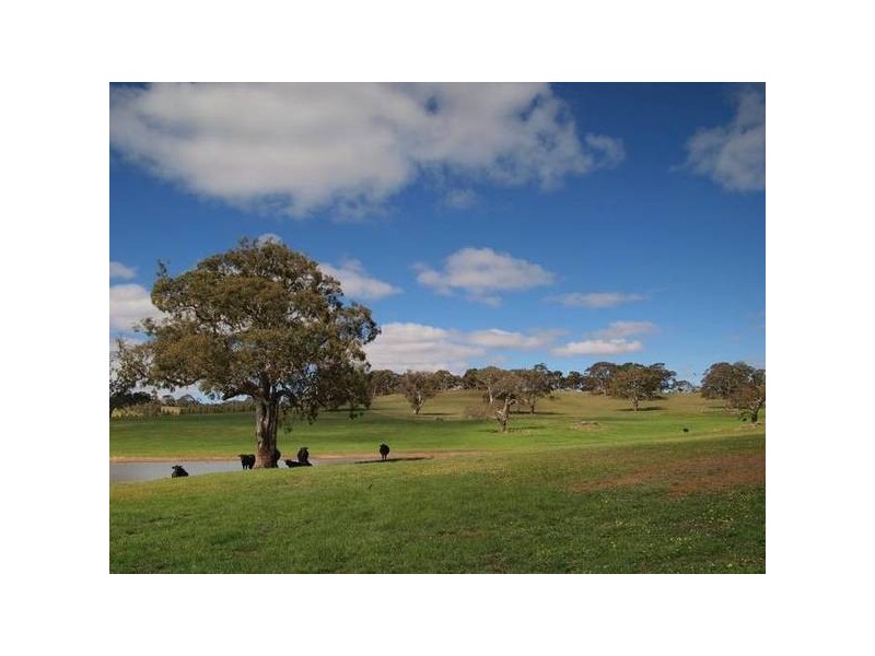 Sec 3961 Sandy Waterhole Road, Woodside SA 5244