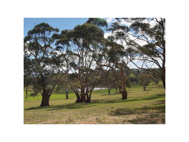 Sec 3961 Sandy Waterhole Road, Woodside SA 5244