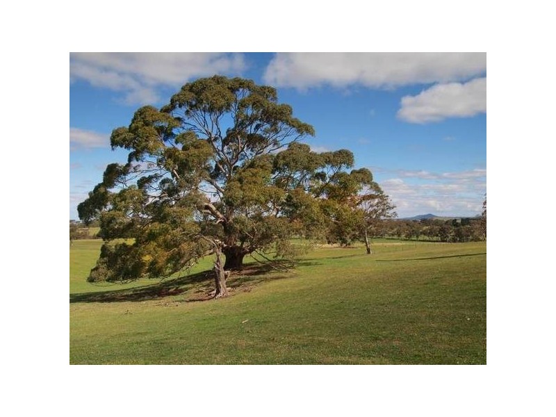 Sec 3961 Sandy Waterhole Road, Woodside SA 5244