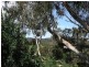 3 Bell Court, Mount Barker SA 5251
