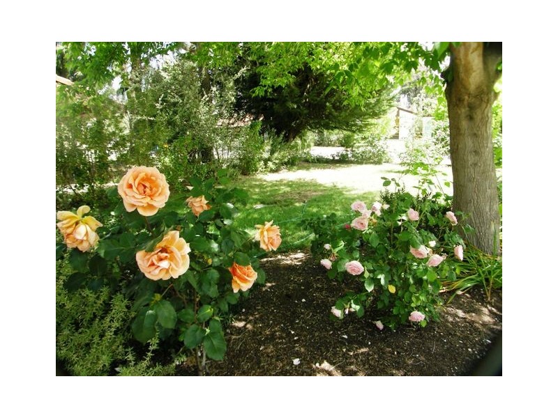 10a Wuttke Road, Mount Barker SA 5251