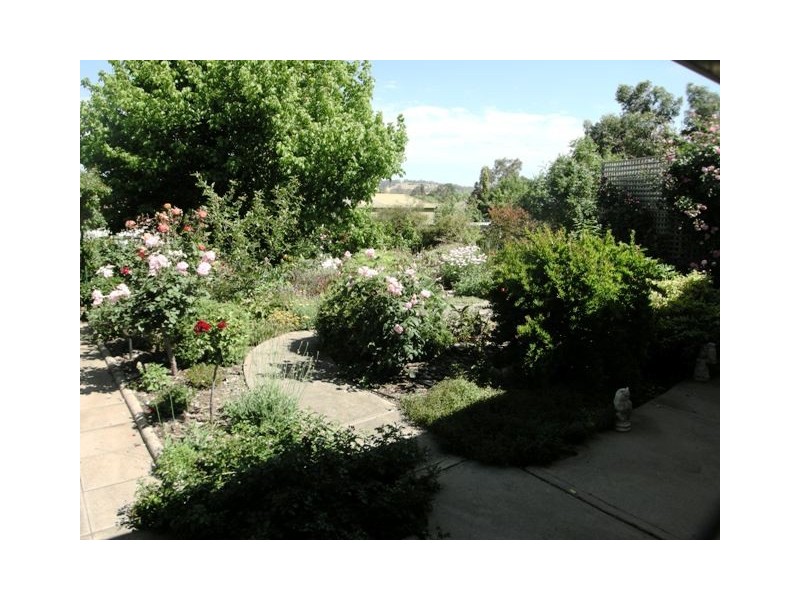 19 Dumas Street, Mount Barker SA 5251