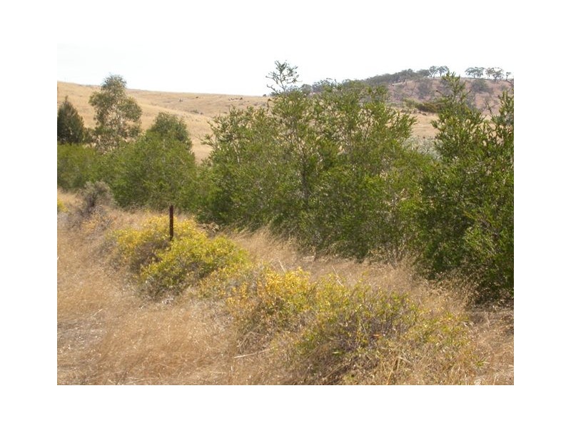 Lot 4 Princes Highway, Kanmantoo SA 5252