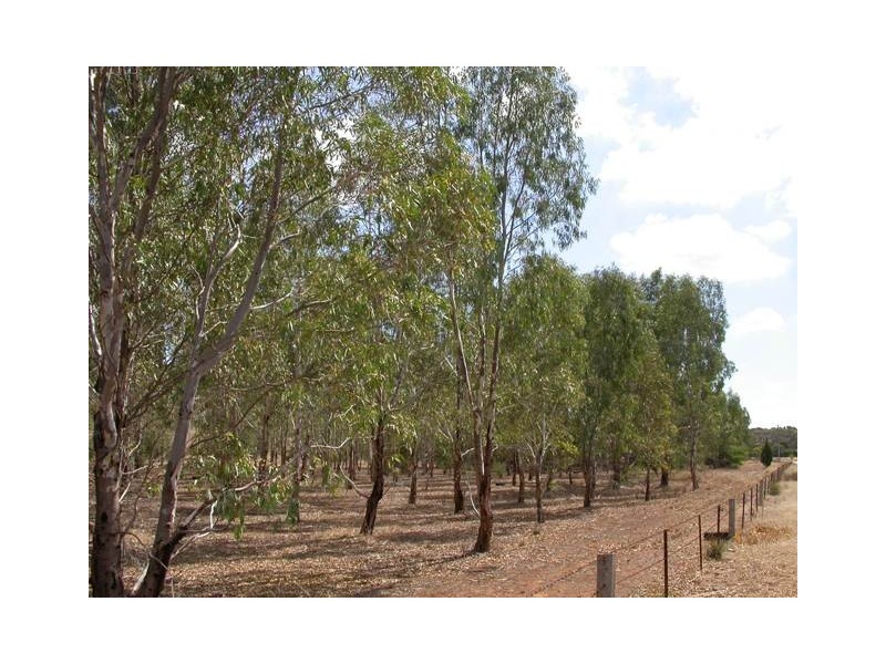 Lot 4 Princes Highway, Kanmantoo SA 5252