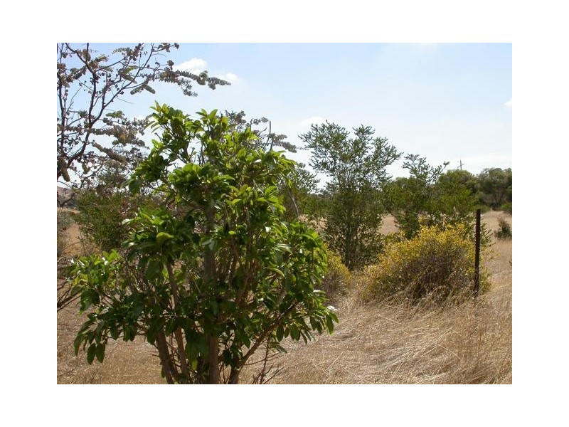 Lot 4 Princes Highway, Kanmantoo SA 5252