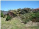 LOT 282 Hanny Crescent, Nairne SA 5252