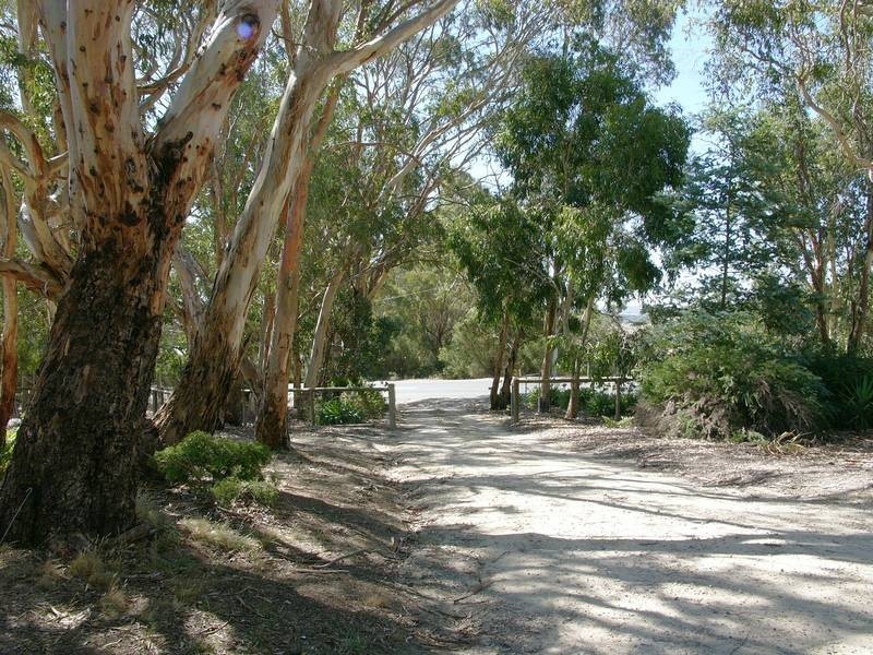 Lot 51 Mount Torrens Tungkillo Road, Mount Torrens SA 5244