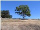 Lot 9 Clover Way, Nairne SA 5252