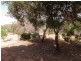 Lot 2 Nursery Road, Kanmantoo SA 5252