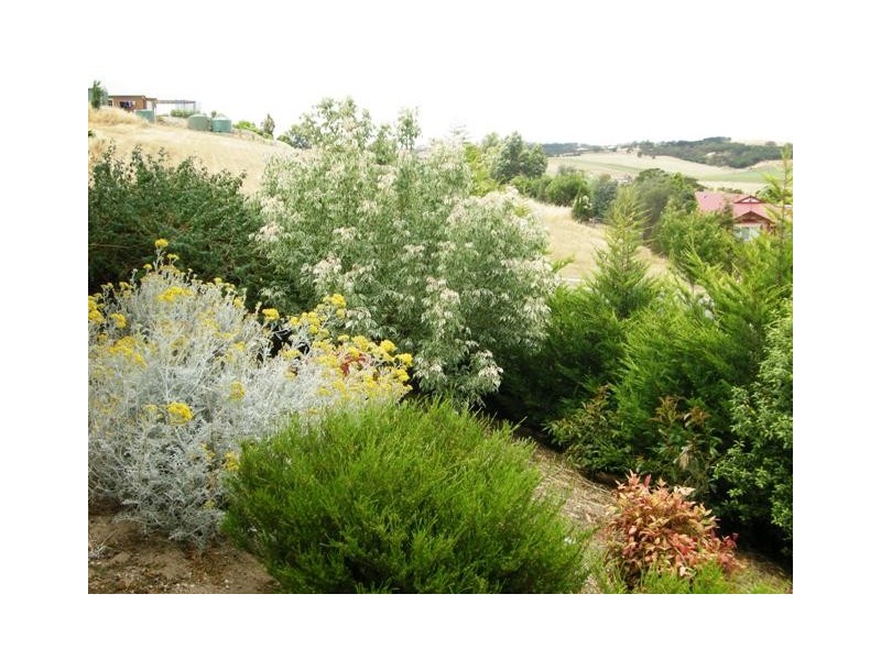 132 Burnbank Way, Mount Barker SA 5251