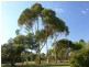 Lot 111 Donnithorne Road, Strathalbyn SA 5255