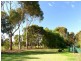 Lot 111 Donnithorne Road, Strathalbyn SA 5255