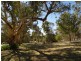 51 Mt Torrens Tungkillo Road, Mount Torrens SA 5244