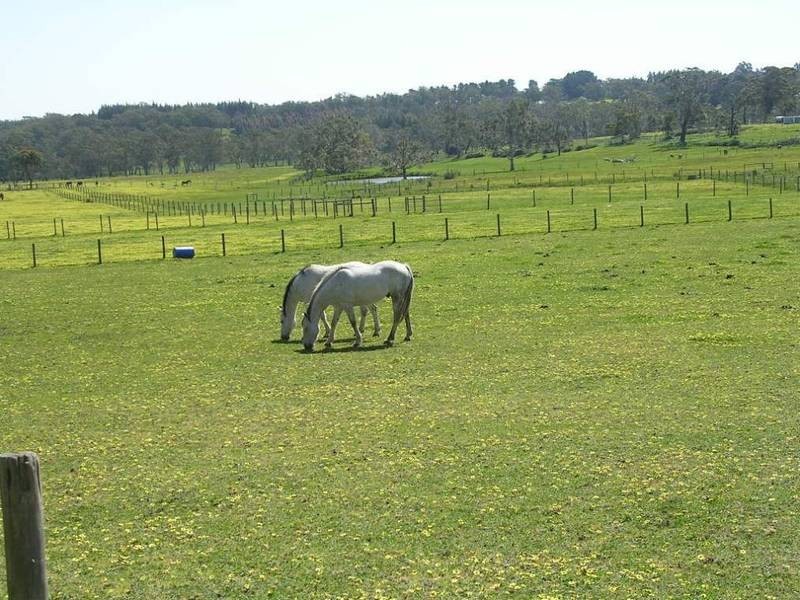 Lot 5 Battunga Road, Echunga SA 5153