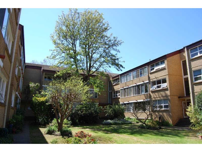 31/115 Alt Street, Ashfield NSW 2131