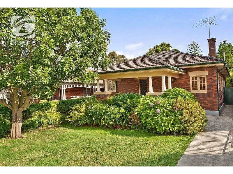 19a Minna Street, Burwood NSW 2134