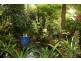 7 Grandview Parade, Gorokan NSW 2263