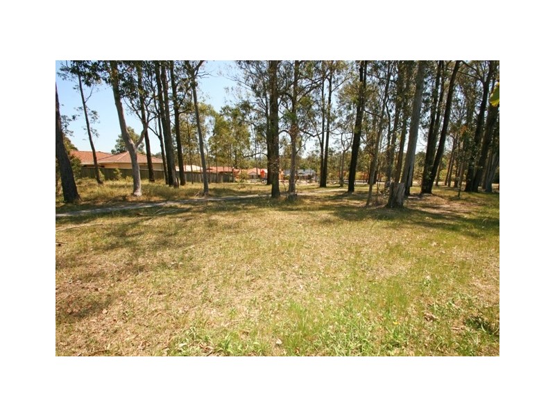 17 Farnol Place, Watanobbi NSW 2259