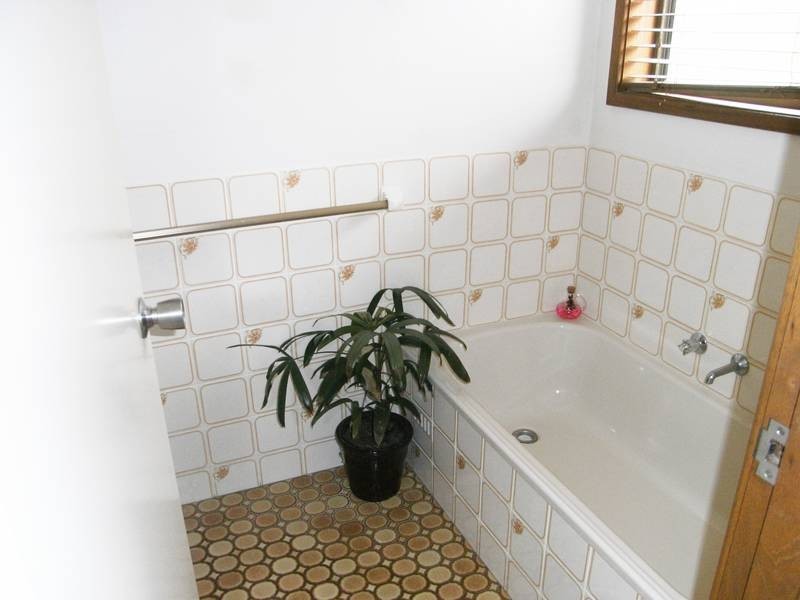 59 Darri Road, Wyongah NSW 2259